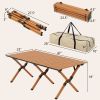 Traveling Folding Camping Table W/Carry Bag